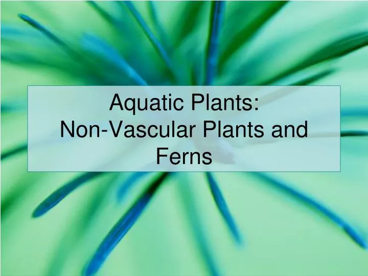 aquatic plants non vascular plants and ferns n.