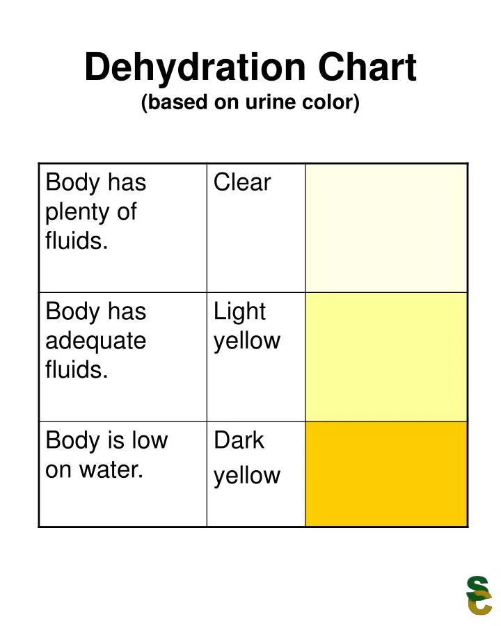 PPT - Dehydration Chart (based on urine color) PowerPoint ...