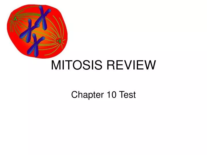 mitosis review n.