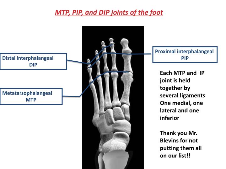 Distal Interphalangeal Joint Pain Foot at Michael Metcalf blog