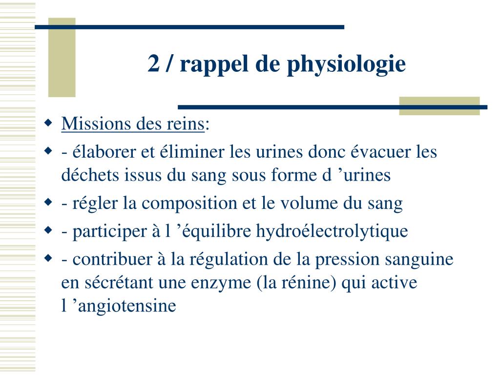 PPT - LES DIURETIQUES PowerPoint Presentation, free download - ID:1166426