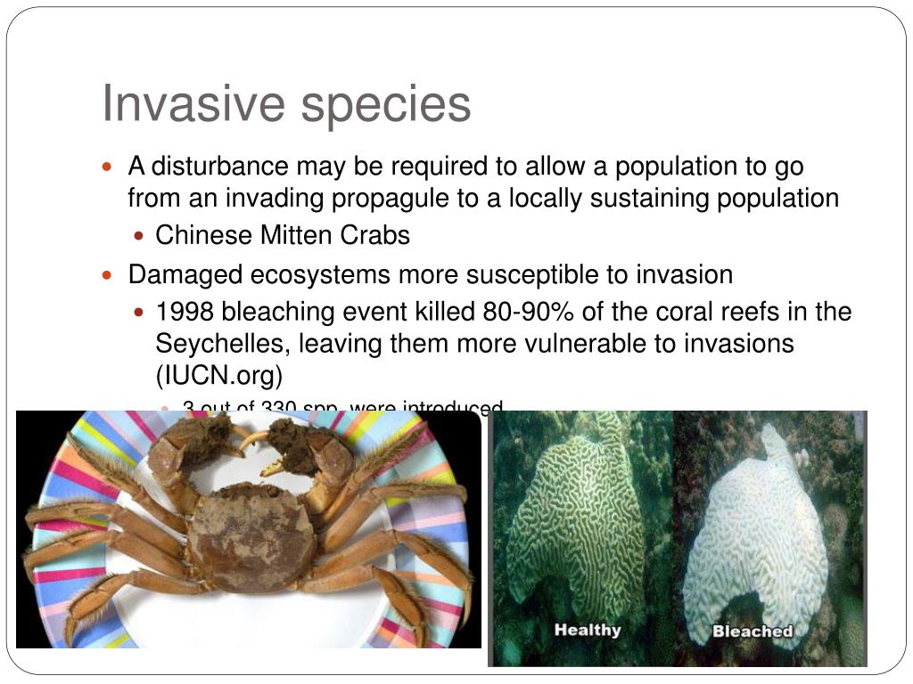 Introduction Of Invasive Species