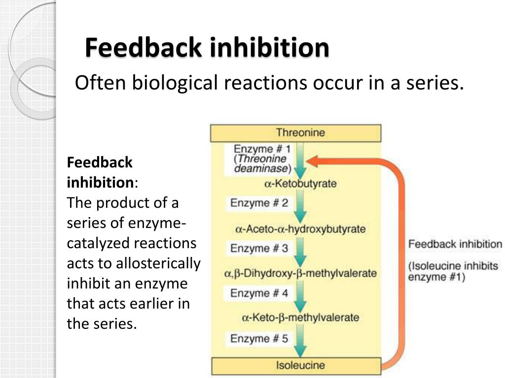 PPT ENZYMES PowerPoint Presentation Free Download ID 1171133 ppt-enzymes-powerpoint-presentation-free-download-id-1171133