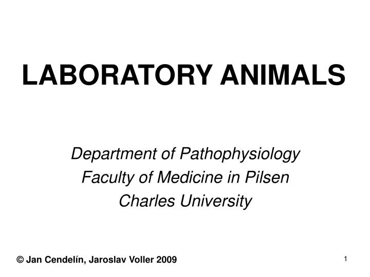 PPT - LABORATORY ANIMALS PowerPoint Presentation, free download - ID:1172510