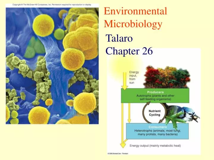 current research topics in environmental microbiology