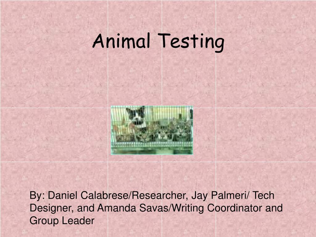 animal testing l