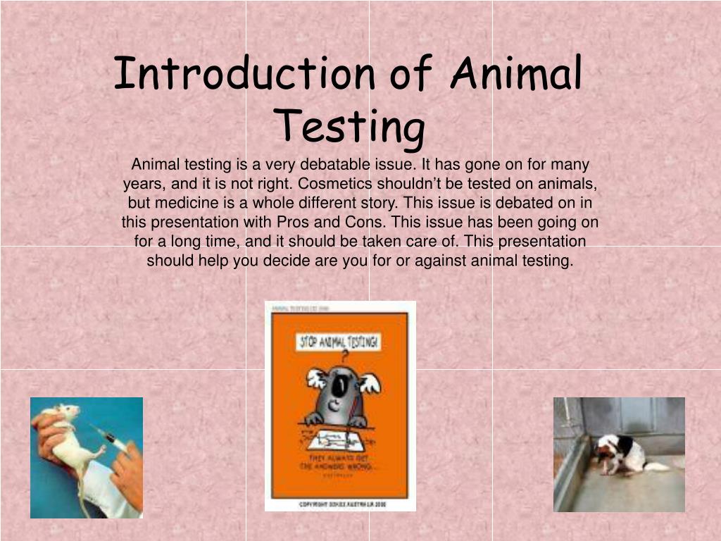 PPT - Animal Testing PowerPoint Presentation, free download - ID:1175341