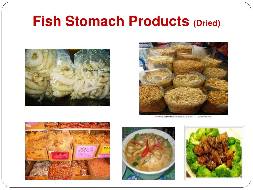 PPT - Fish Meals from Fish Byproducts PowerPoint Presentation, free ...