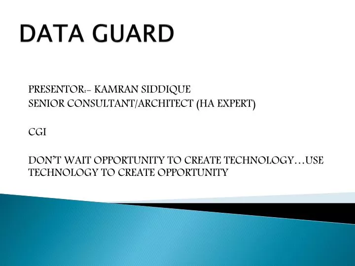 data guard n.