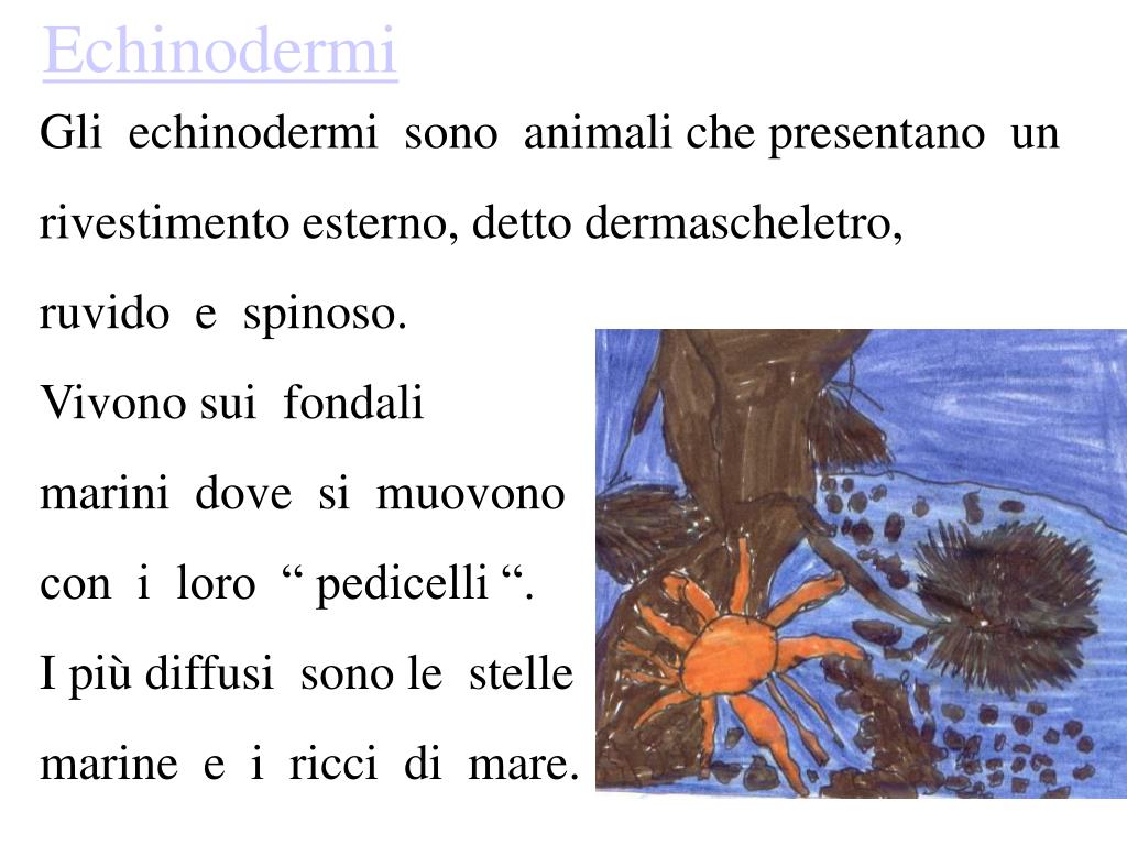 Nel Regno Dei Morti Tiresia Riassunto