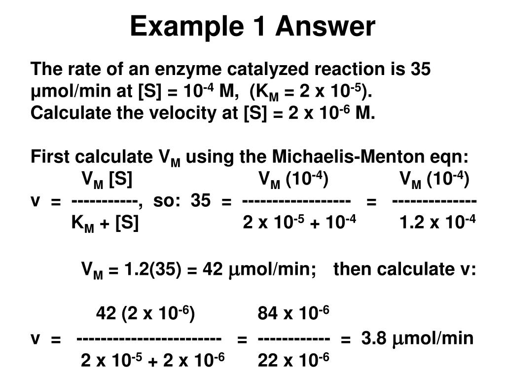 PPT Calculations of Enzyme Activity PowerPoint