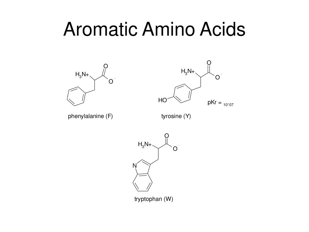 PPT - Amino acids and peptides PowerPoint Presentation, free download ...