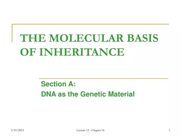 the molecular basis of inheritance n.