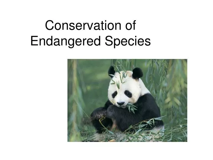 powerpoint presentation on endangered species