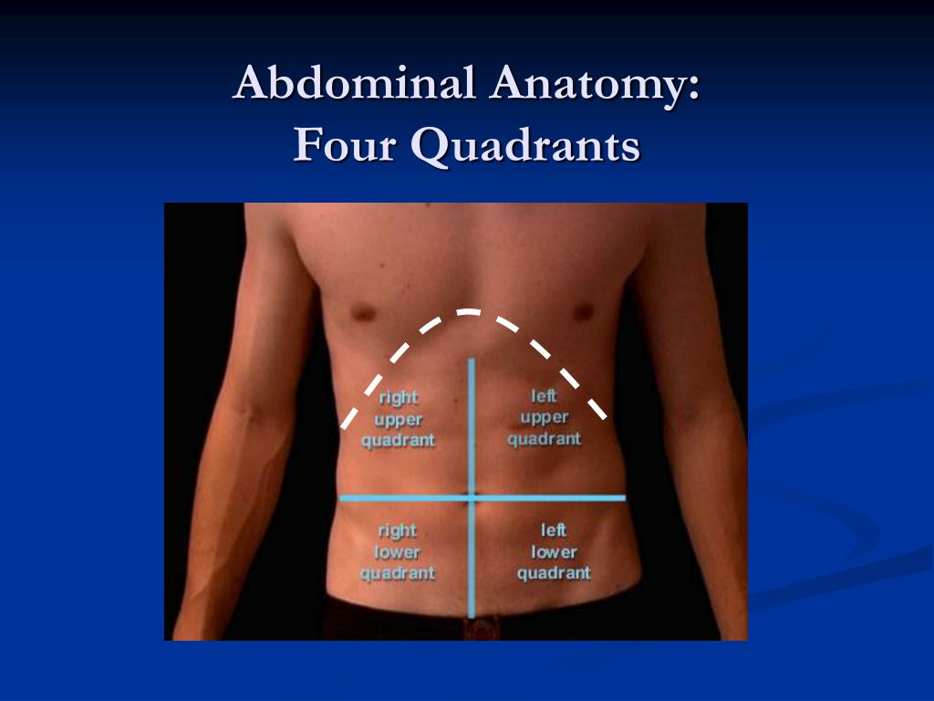 Abdominal Quadrants Diagram
