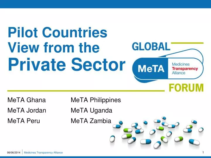 pilot countries view from the private sector n.
