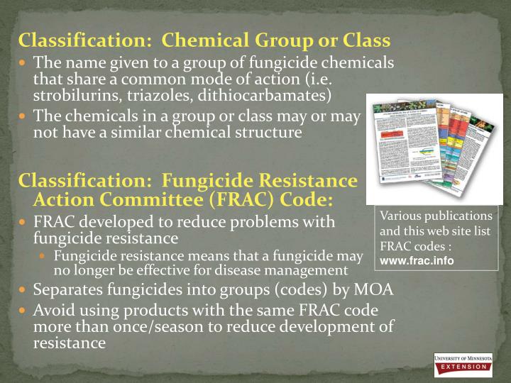 fungicide training steps committee classification essay fungicide training behavior panel classification essay