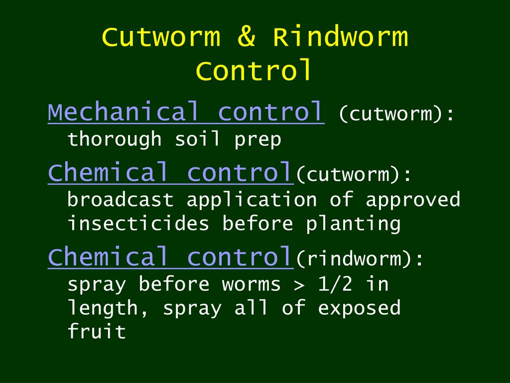 download cutworm control download cutworm control