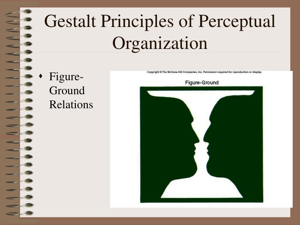 gestalt principles of organization similarity