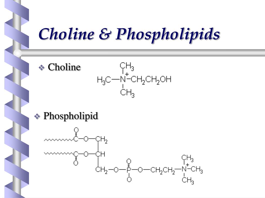 Уридиндифосфат-Холин. Стеариновая кислота + Холин. Производные Холина. Окисление Холина. Фосфатидилхолин это