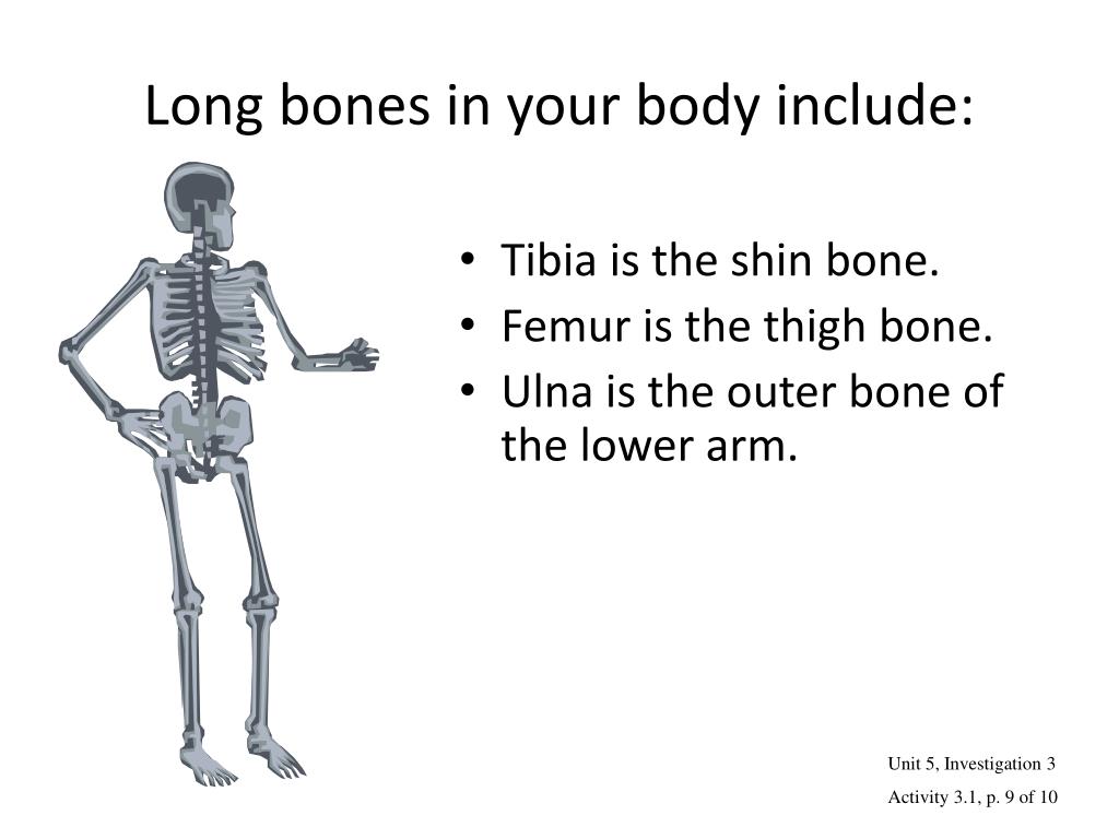 PPT - What Do the Bones Say? Forensic Anthropology PowerPoint ...