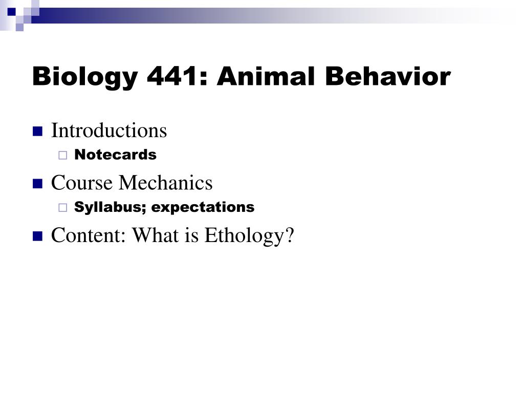 PPT - Biology 441: Animal Behavior PowerPoint Presentation, free download -  ID:1194558