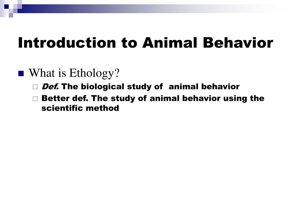 research on animal behavior