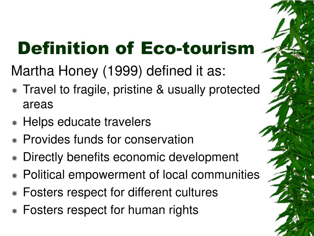 define word eco tourism