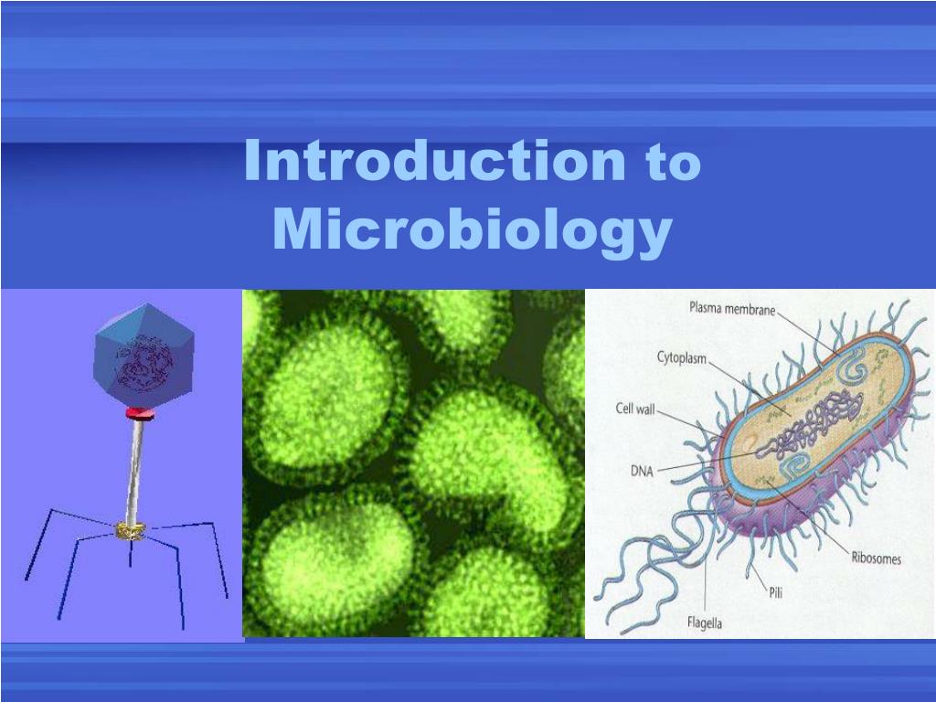 medical microbiology presentation topics
