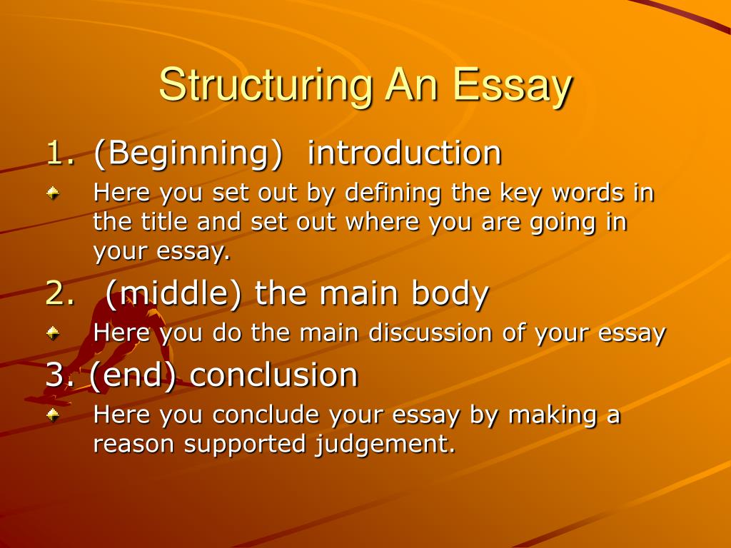 what is an essay style question
