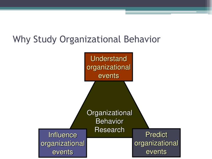 leveraging organizational behavior intro and power Mgt 312 week 5 leveraging organizational behavior and management to maximize business introduction to leadership describe the influence of power and. leveraging organizational behavior intro and power Mgt 312 week 5 leveraging organizational behavior and management to maximize business introduction to leadership describe the influence of power and.
