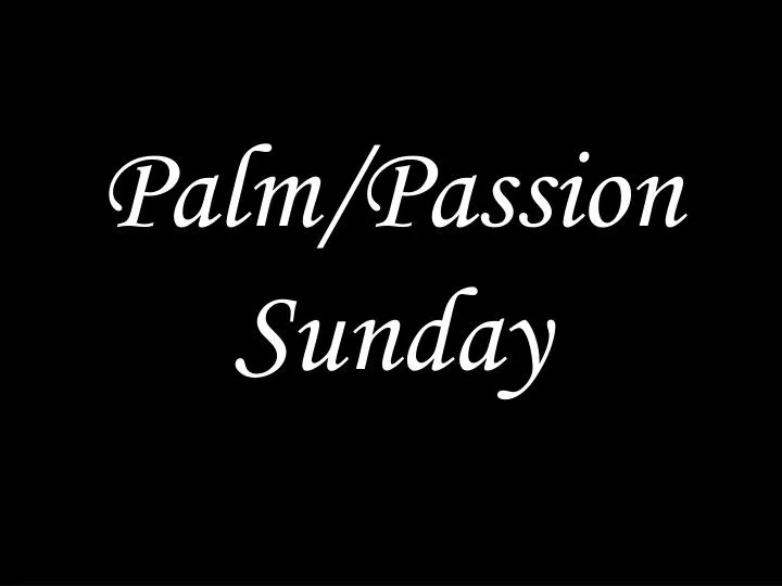 palm passion sunday n.