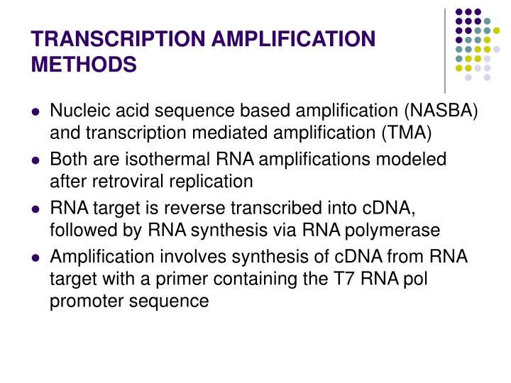 PPT - Chapter 7: Nucleic Acid Amplification Techniques PowerPoint ...