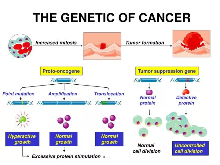 PPT THE GENETIC OF CANCER PowerPoint Presentation Free Download ID 