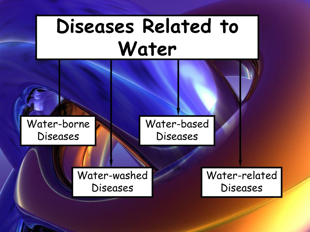 water borne diseases assignment