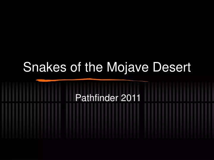 PPT - Snakes of the Mojave Desert PowerPoint Presentation ...