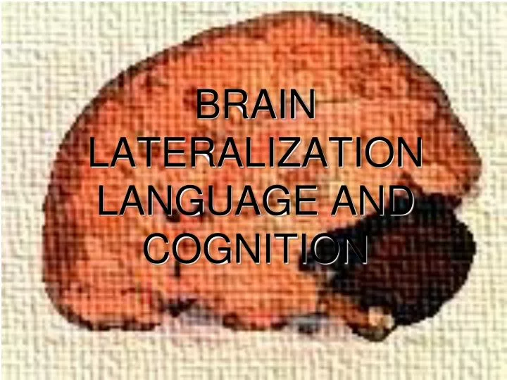 PPT - BRAIN LATERALIZATION LANGUAGE AND COGNITION PowerPoint ...