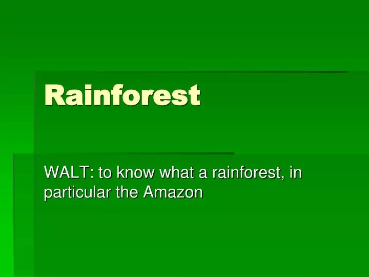rainforest n.