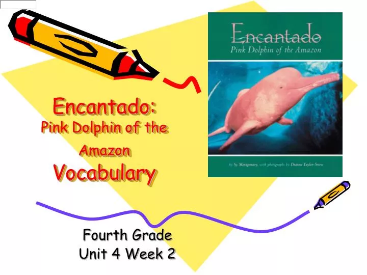 encantado pink dolphin of the amazon vocabulary n.