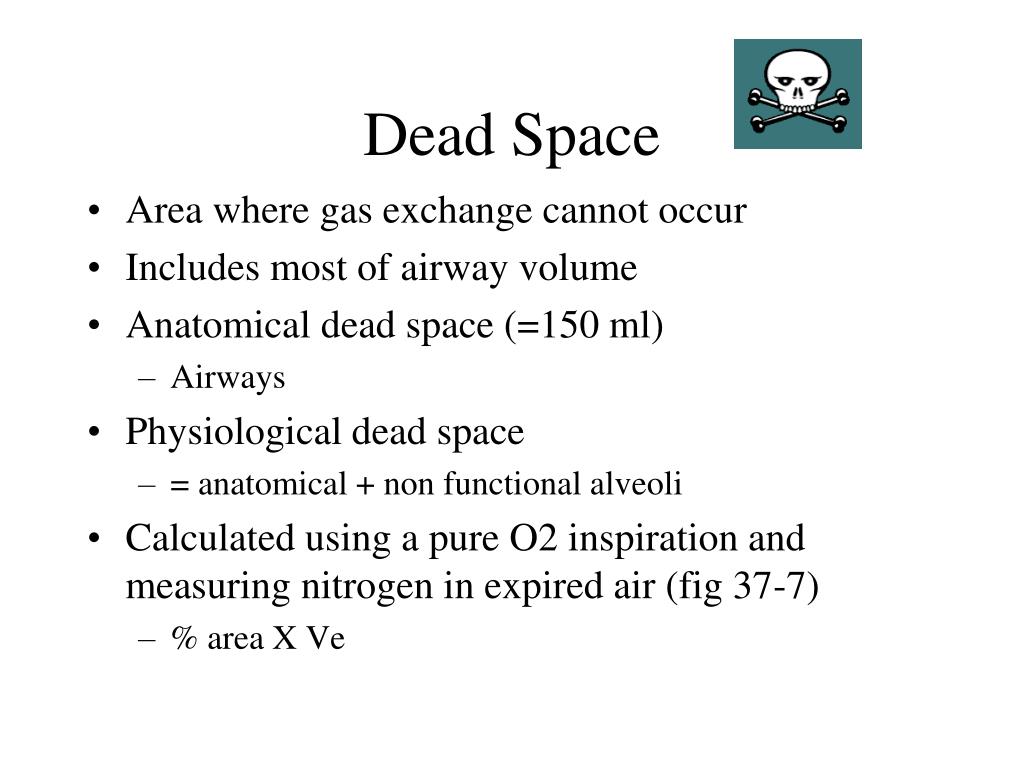 physiologic dead space = quizlet physiologic dead space = quizlet