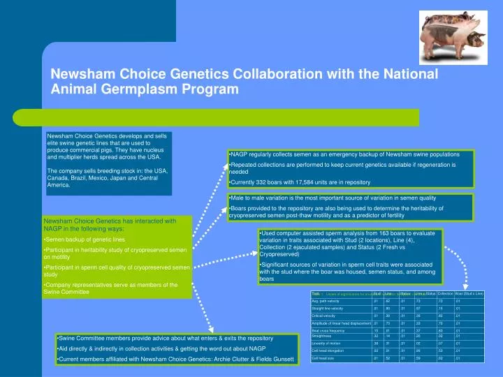 newsham choice genetics collaboration with the national animal germplasm program n.
