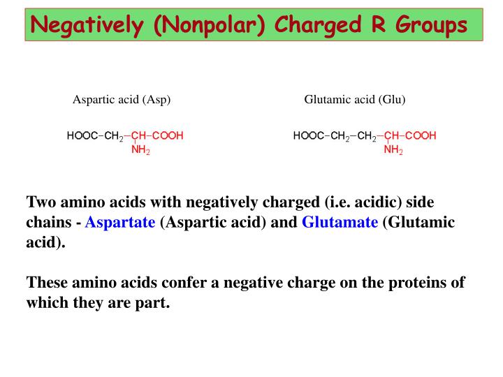 PPT AMINO ACIDS PowerPoint Presentation ID1205136