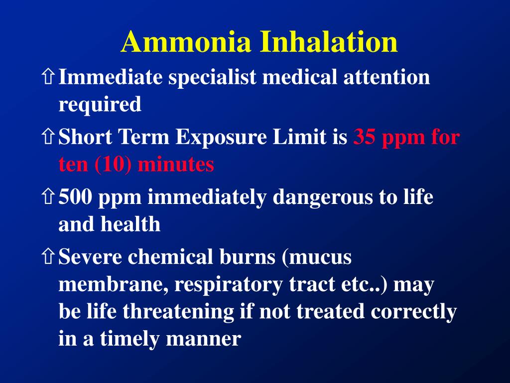 PPT - POINT LISAS PORT AND INDUSTRIAL ESTATE DISASTER RESPONSE AMMONIA  SPILL PowerPoint Presentation - ID:1207025
