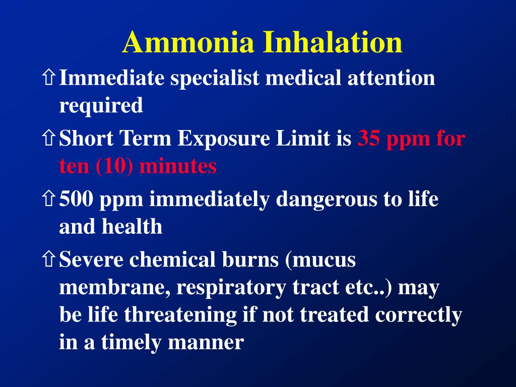 PPT POINT LISAS PORT AND INDUSTRIAL ESTATE DISASTER RESPONSE AMMONIA