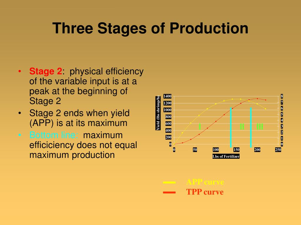 Three Stages Of Production Diagram