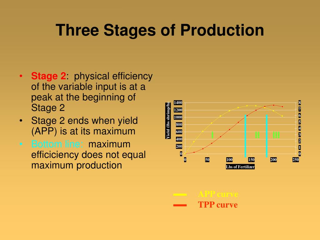 Three Stages Of Production Diagram three-stages-of-production-diagram