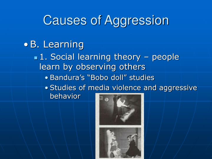 causes of aggression and its effects Homelessness and its effects on school age children by the time homeless children reach school age, their homelessness affects their social, physical, and academic lives homeless children are not simply at risk most suffer specific physical, psychological, and emotional damage due to the circumstances that accompany episodes of. causes of aggression and its effects Homelessness and its effects on school age children by the time homeless children reach school age, their homelessness affects their social, physical, and academic lives homeless children are not simply at risk most suffer specific physical, psychological, and emotional damage due to the circumstances that accompany episodes of.
