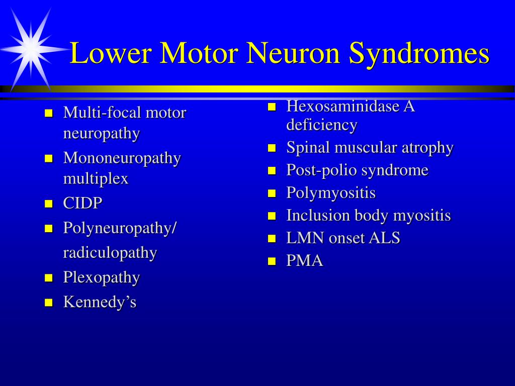 Lower Motor Neuron Lesion Treatment Webmotor