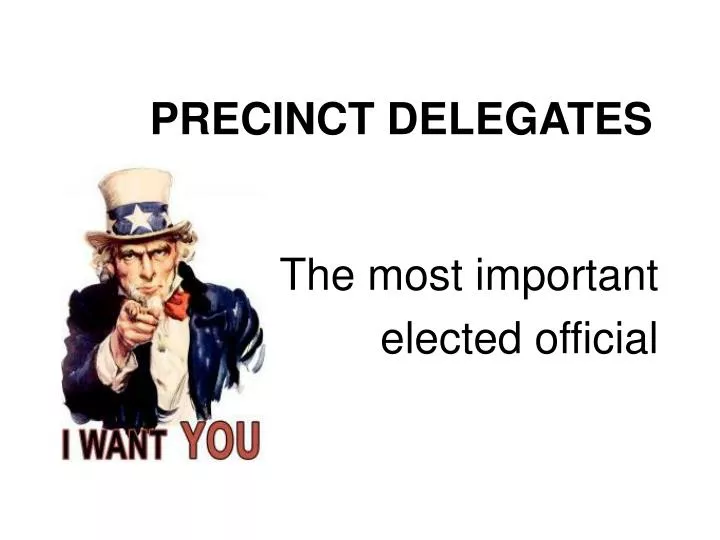 What Is A Precinct Delegate