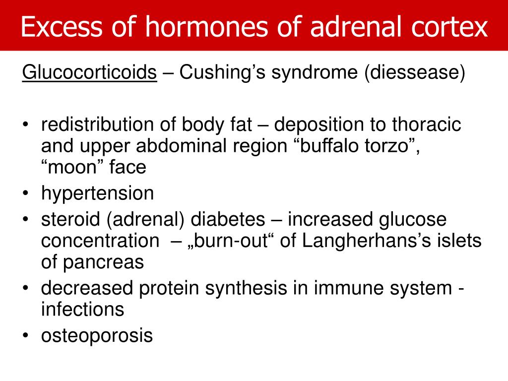 adrenal cortex hormones function adrenal cortex hormones function